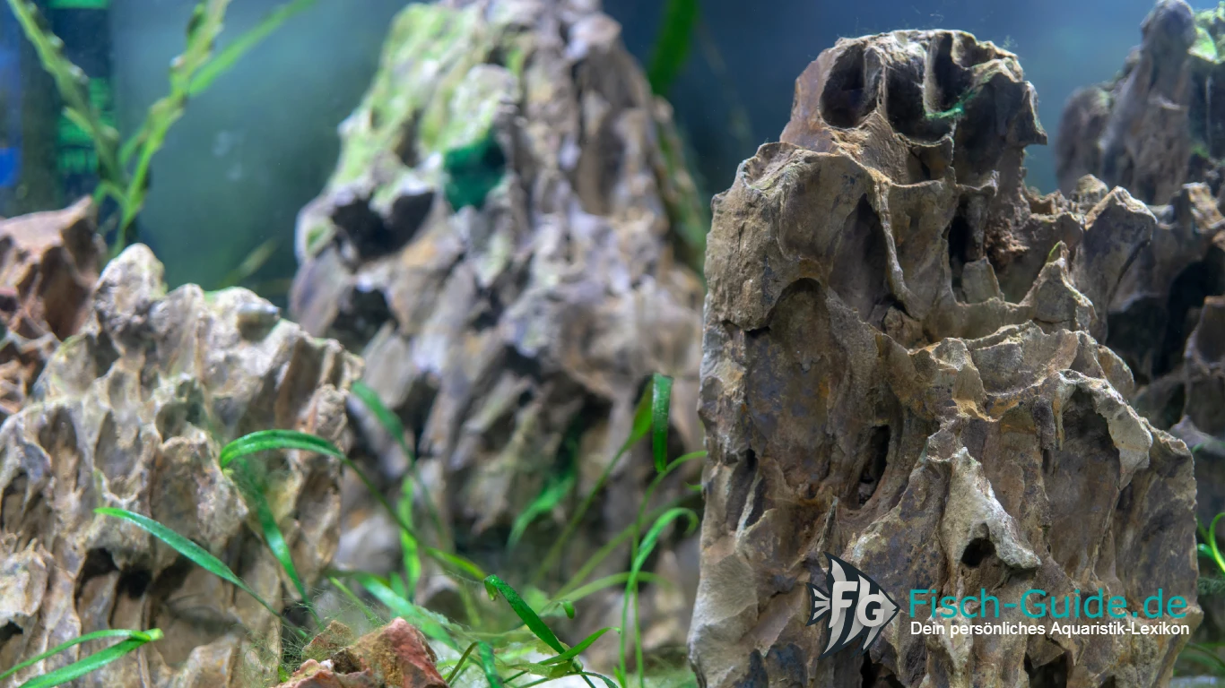 Aquarium Steine